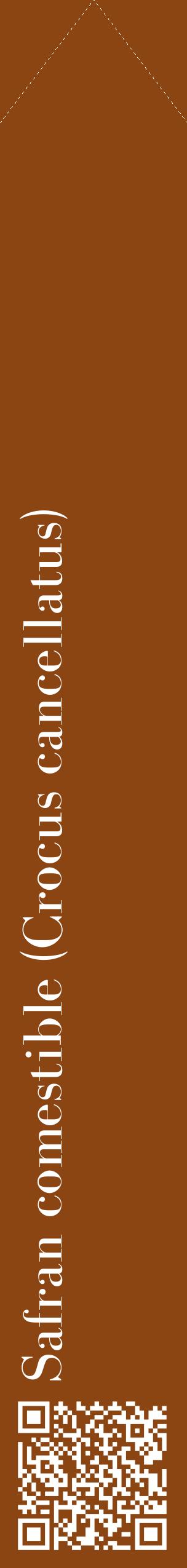 Étiquette de : Crocus cancellatus - format c - style blanche30_simplebod avec qrcode et comestibilité