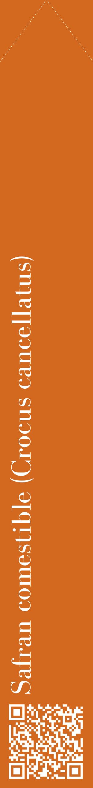 Étiquette de : Crocus cancellatus - format c - style blanche31_simplebod avec qrcode et comestibilité