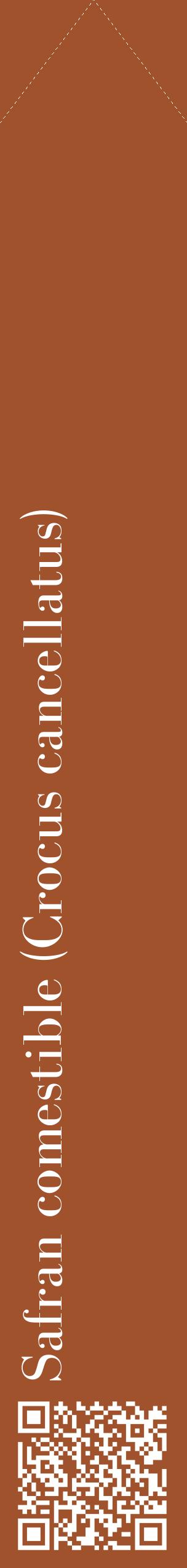 Étiquette de : Crocus cancellatus - format c - style blanche32_simplebod avec qrcode et comestibilité