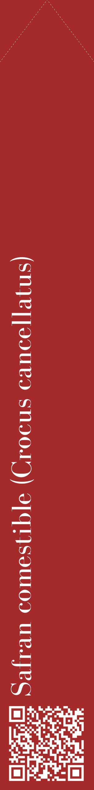 Étiquette de : Crocus cancellatus - format c - style blanche33_simplebod avec qrcode et comestibilité