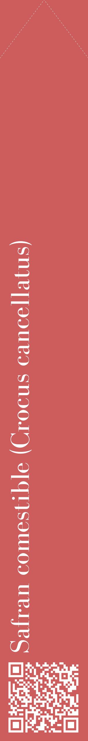 Étiquette de : Crocus cancellatus - format c - style blanche35_simplebod avec qrcode et comestibilité