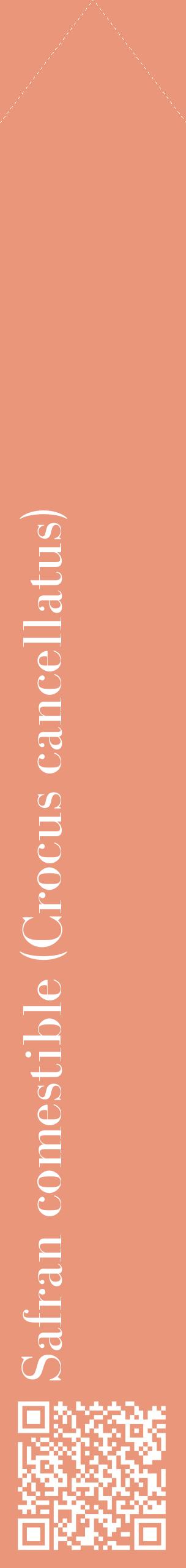 Étiquette de : Crocus cancellatus - format c - style blanche37_simplebod avec qrcode et comestibilité