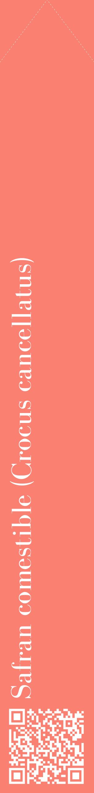 Étiquette de : Crocus cancellatus - format c - style blanche38_simplebod avec qrcode et comestibilité