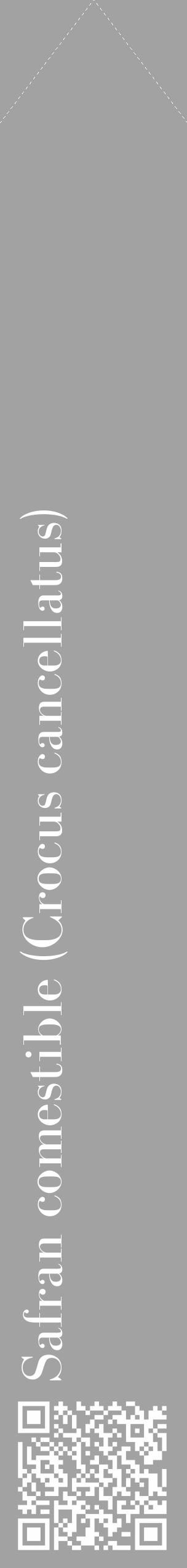 Étiquette de : Crocus cancellatus - format c - style blanche38_simple_simplebod avec qrcode et comestibilité - position verticale