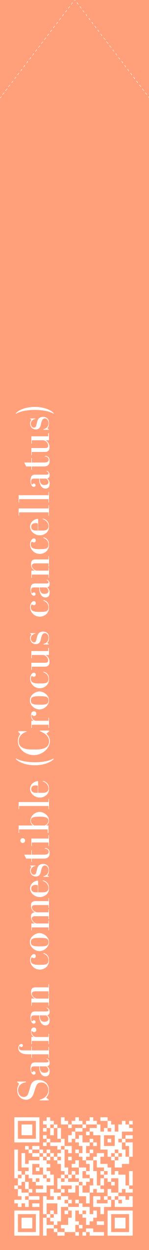 Étiquette de : Crocus cancellatus - format c - style blanche39_simplebod avec qrcode et comestibilité