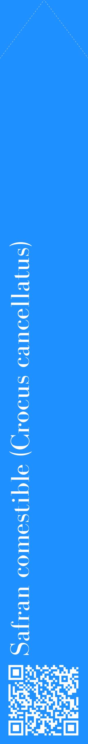 Étiquette de : Crocus cancellatus - format c - style blanche3_simplebod avec qrcode et comestibilité