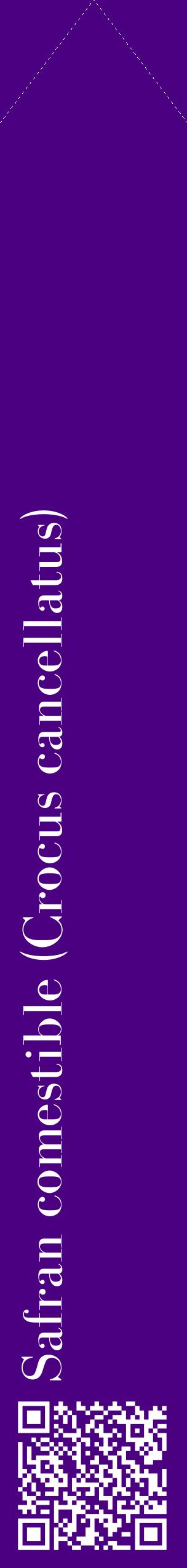Étiquette de : Crocus cancellatus - format c - style blanche47_simplebod avec qrcode et comestibilité