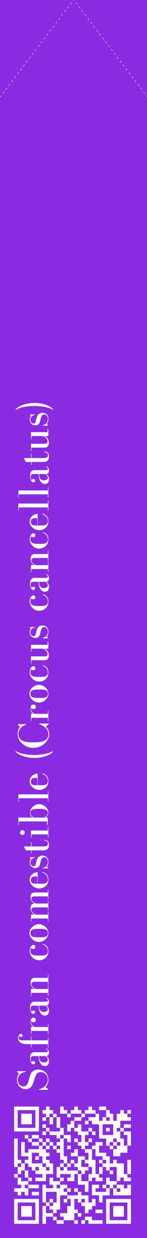 Étiquette de : Crocus cancellatus - format c - style blanche49_simplebod avec qrcode et comestibilité