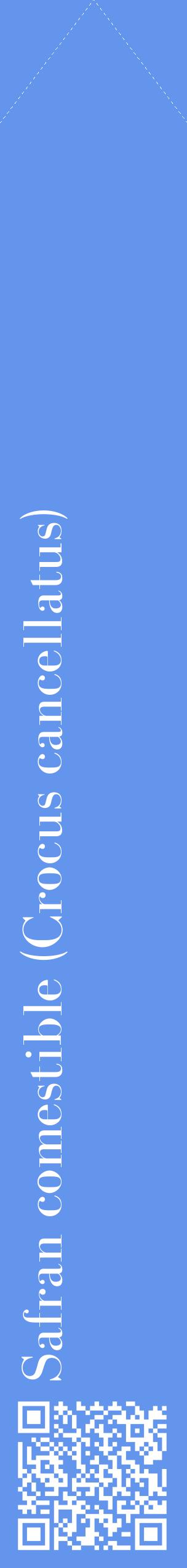 Étiquette de : Crocus cancellatus - format c - style blanche4_simplebod avec qrcode et comestibilité