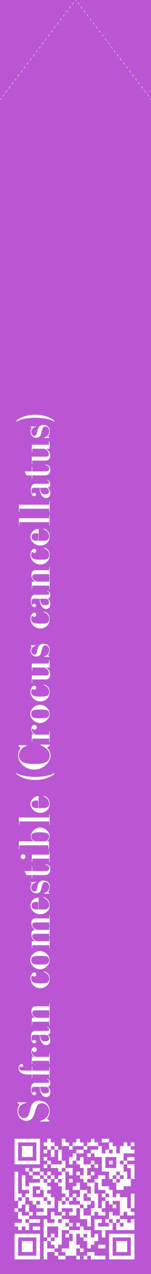 Étiquette de : Crocus cancellatus - format c - style blanche50_simplebod avec qrcode et comestibilité