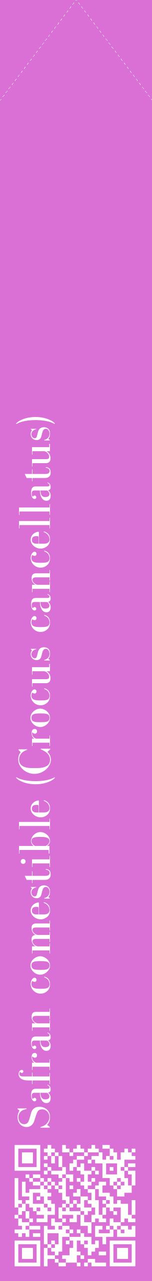 Étiquette de : Crocus cancellatus - format c - style blanche52_simplebod avec qrcode et comestibilité