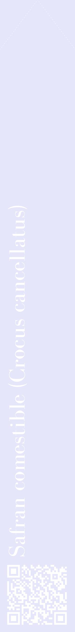 Étiquette de : Crocus cancellatus - format c - style blanche55_simplebod avec qrcode et comestibilité