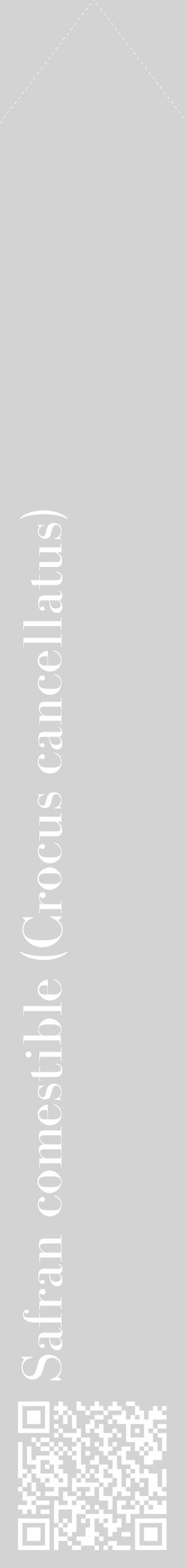 Étiquette de : Crocus cancellatus - format c - style blanche56_simplebod avec qrcode et comestibilité