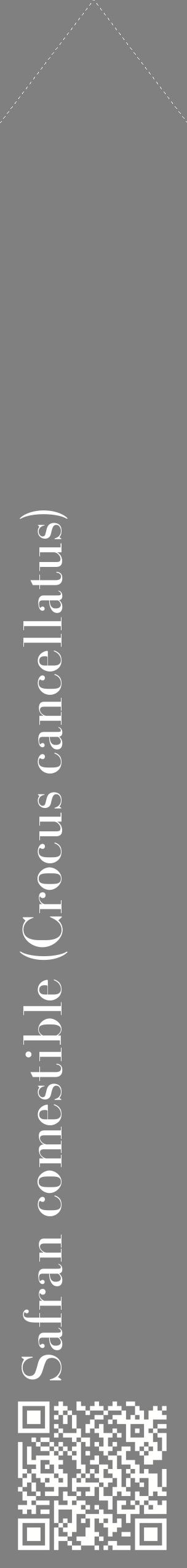 Étiquette de : Crocus cancellatus - format c - style blanche57_simplebod avec qrcode et comestibilité