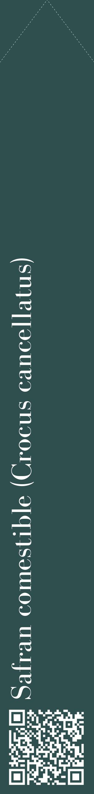 Étiquette de : Crocus cancellatus - format c - style blanche58_simplebod avec qrcode et comestibilité