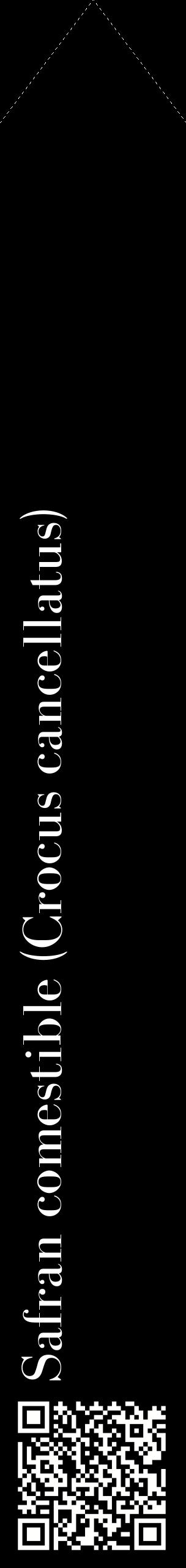 Étiquette de : Crocus cancellatus - format c - style blanche59_simplebod avec qrcode et comestibilité