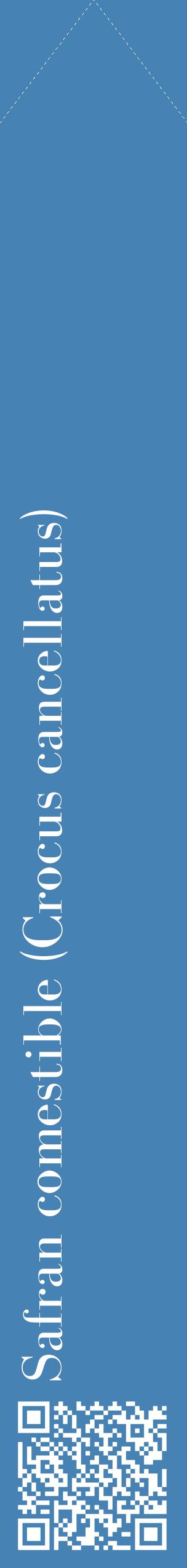 Étiquette de : Crocus cancellatus - format c - style blanche5_simplebod avec qrcode et comestibilité