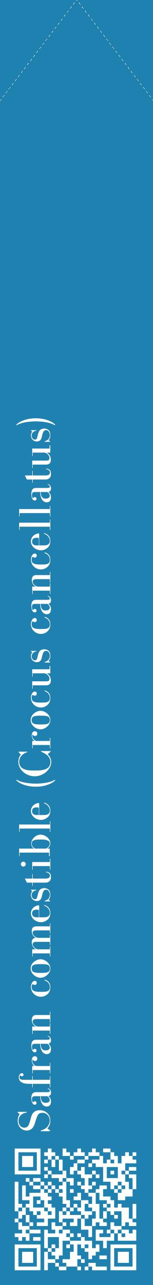 Étiquette de : Crocus cancellatus - format c - style blanche6_simplebod avec qrcode et comestibilité