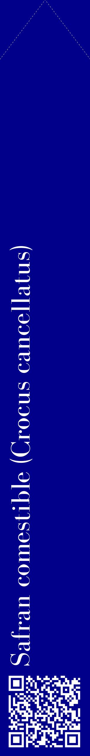 Étiquette de : Crocus cancellatus - format c - style blanche7_simplebod avec qrcode et comestibilité