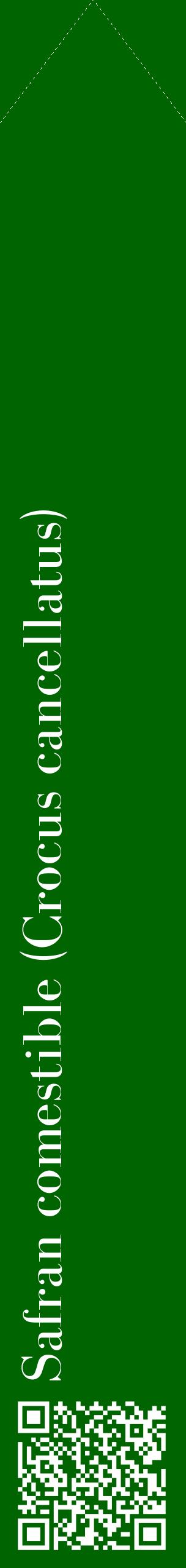 Étiquette de : Crocus cancellatus - format c - style blanche8_simplebod avec qrcode et comestibilité