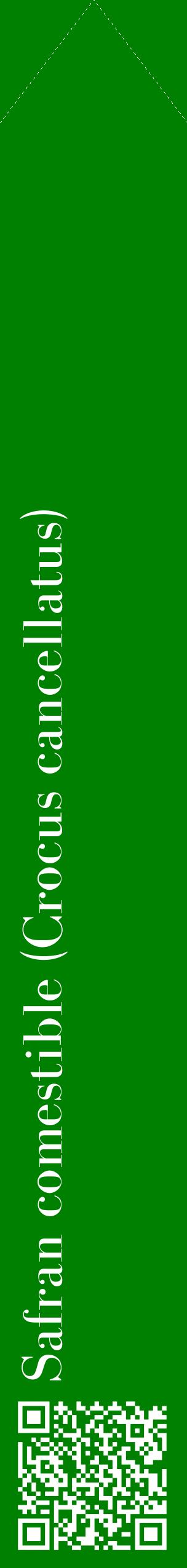Étiquette de : Crocus cancellatus - format c - style blanche9_simplebod avec qrcode et comestibilité