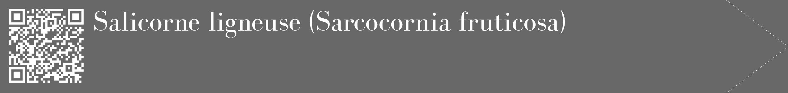 Étiquette de : Sarcocornia fruticosa - format c - style blanche43_simple_simplebod avec qrcode et comestibilité