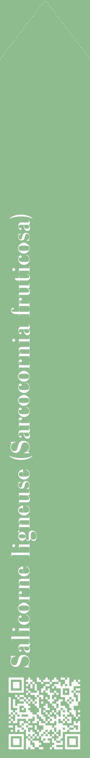 Étiquette de : Sarcocornia fruticosa - format c - style blanche13_simplebod avec qrcode et comestibilité