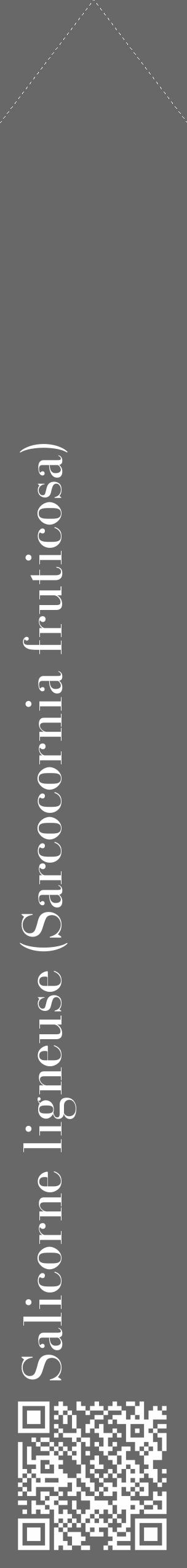 Étiquette de : Sarcocornia fruticosa - format c - style blanche43_simple_simplebod avec qrcode et comestibilité - position verticale