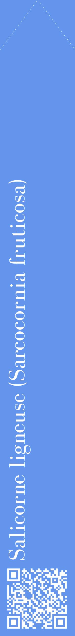 Étiquette de : Sarcocornia fruticosa - format c - style blanche4_simplebod avec qrcode et comestibilité