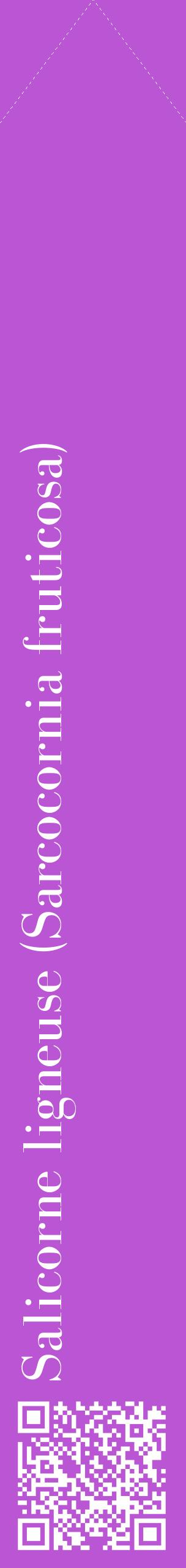 Étiquette de : Sarcocornia fruticosa - format c - style blanche50_simplebod avec qrcode et comestibilité