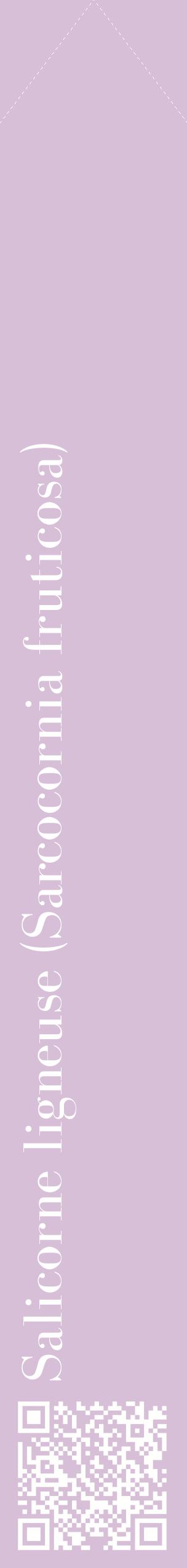 Étiquette de : Sarcocornia fruticosa - format c - style blanche54_simplebod avec qrcode et comestibilité