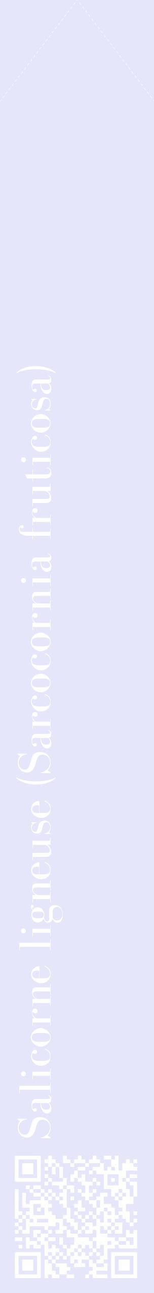 Étiquette de : Sarcocornia fruticosa - format c - style blanche55_simplebod avec qrcode et comestibilité