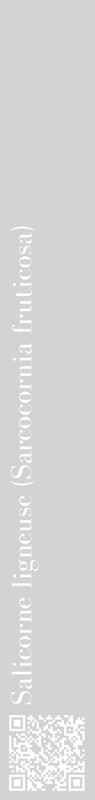 Étiquette de : Sarcocornia fruticosa - format c - style blanche56_simplebod avec qrcode et comestibilité