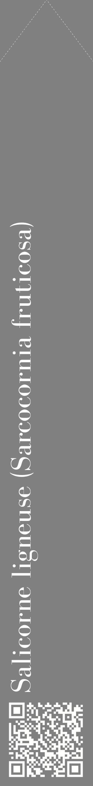 Étiquette de : Sarcocornia fruticosa - format c - style blanche57_simplebod avec qrcode et comestibilité