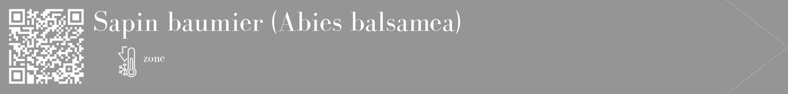Étiquette de : Abies balsamea - format c - style blanche16_simple_simplebod avec qrcode et comestibilité