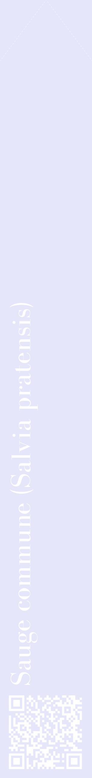 Étiquette de : Salvia pratensis - format c - style blanche55_simplebod avec qrcode et comestibilité