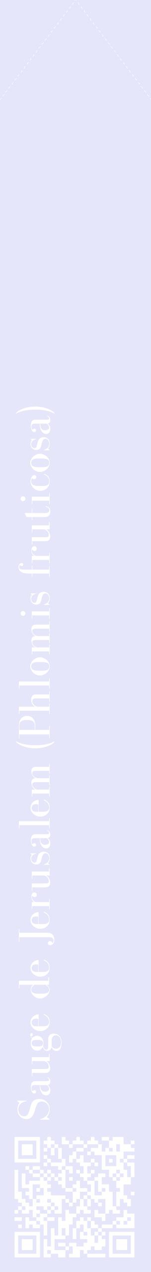 Étiquette de : Phlomis fruticosa - format c - style blanche55_simplebod avec qrcode et comestibilité
