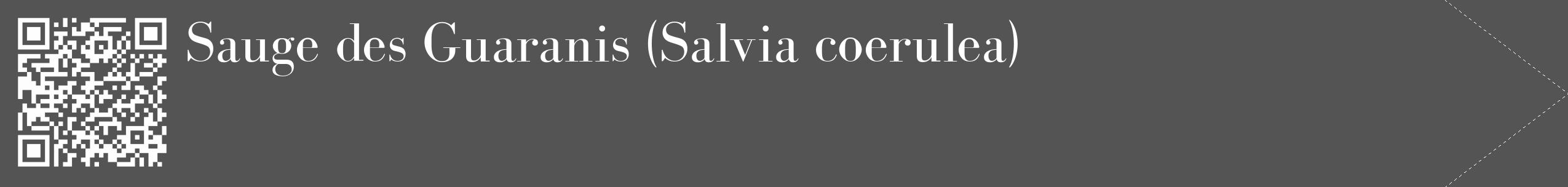 Étiquette de : Salvia coerulea - format c - style blanche36_simple_simplebod avec qrcode et comestibilité