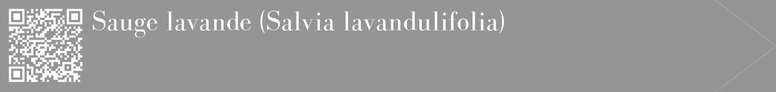 Étiquette de : Salvia lavandulifolia - format c - style blanche16_simple_simplebod avec qrcode et comestibilité
