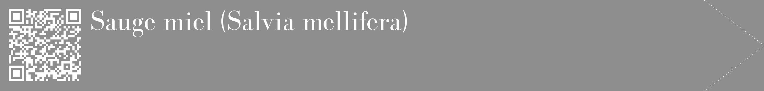 Étiquette de : Salvia mellifera - format c - style blanche25_simple_simplebod avec qrcode et comestibilité