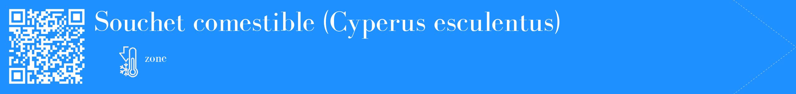 Étiquette de : Cyperus esculentus - format c - style blanche3_simple_simplebod avec qrcode et comestibilité