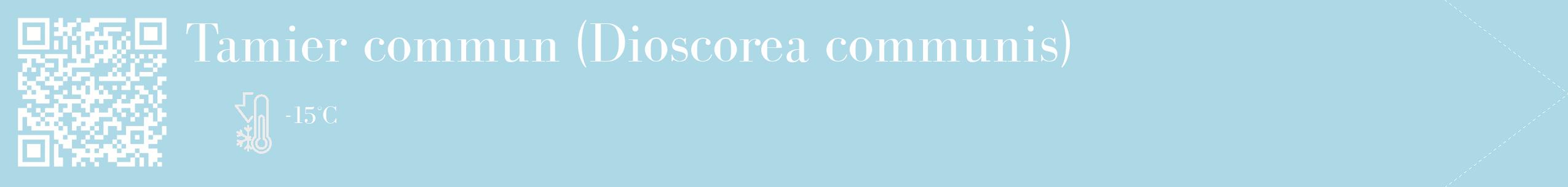 Étiquette de : Dioscorea communis - format c - style blanche0_simple_simplebod avec qrcode et comestibilité