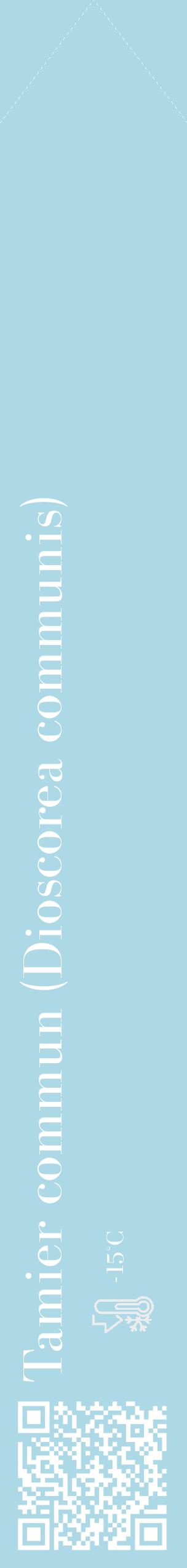 Étiquette de : Dioscorea communis - format c - style blanche0_simple_simplebod avec qrcode et comestibilité - position verticale