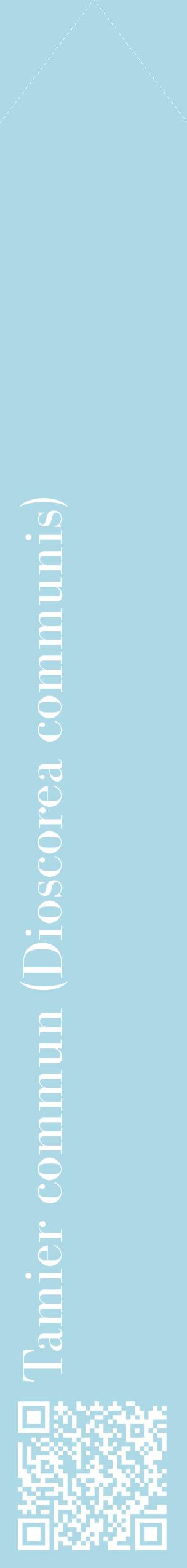 Étiquette de : Dioscorea communis - format c - style blanche0_simplebod avec qrcode et comestibilité