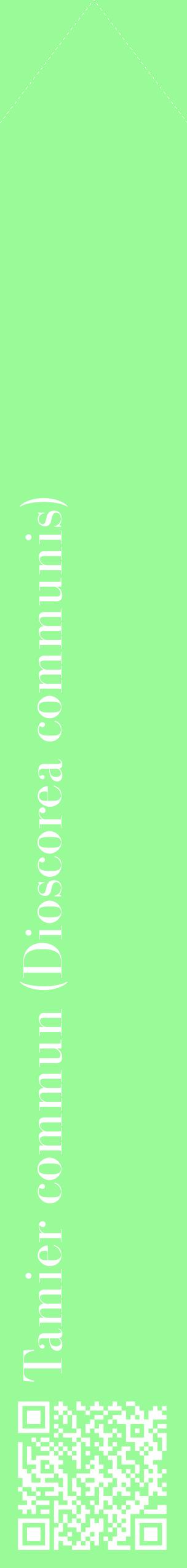 Étiquette de : Dioscorea communis - format c - style blanche14_simplebod avec qrcode et comestibilité