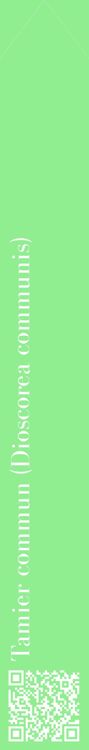 Étiquette de : Dioscorea communis - format c - style blanche15_simplebod avec qrcode et comestibilité