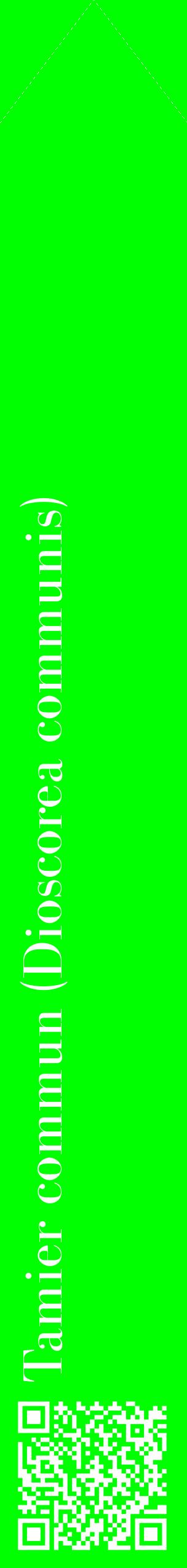 Étiquette de : Dioscorea communis - format c - style blanche16_simplebod avec qrcode et comestibilité
