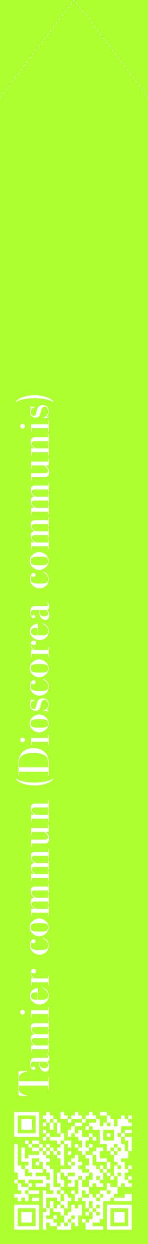 Étiquette de : Dioscorea communis - format c - style blanche17_simplebod avec qrcode et comestibilité