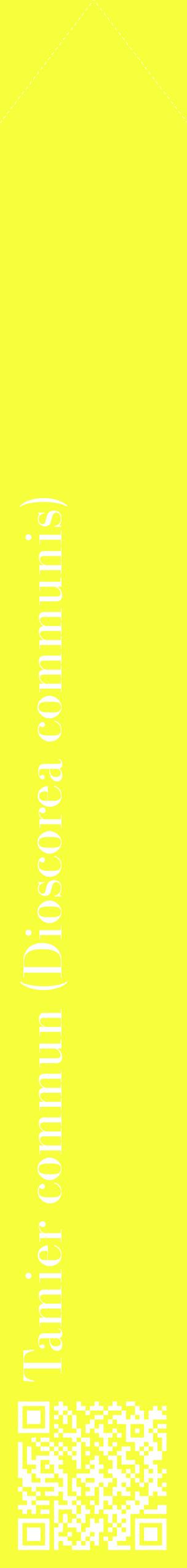 Étiquette de : Dioscorea communis - format c - style blanche18_simplebod avec qrcode et comestibilité