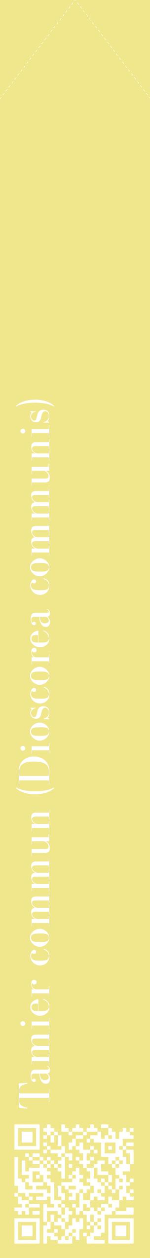 Étiquette de : Dioscorea communis - format c - style blanche20_simplebod avec qrcode et comestibilité